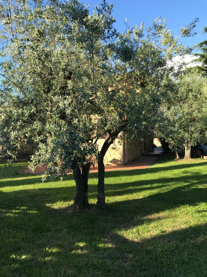 Appartamento La Casina Rosella Montaione Esterno foto